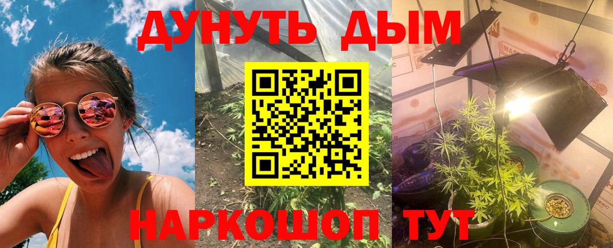 Канабис VHQ Севастополь
